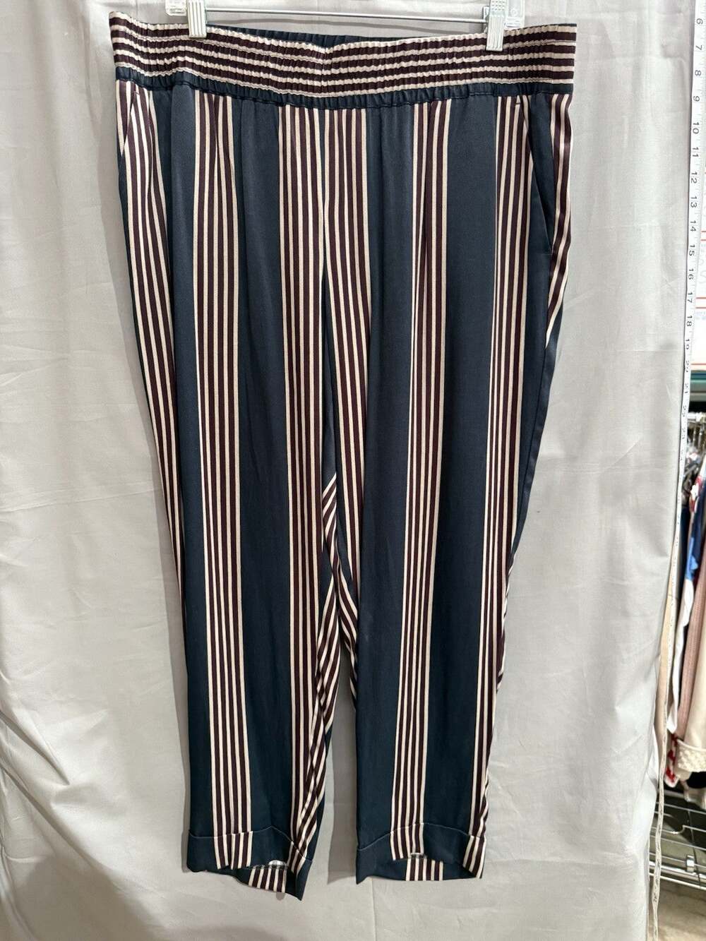 Ann Taylor LOFT Striped Pull-On Ankle Pants Women Size L Crop Smocked Waist